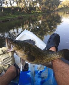 Dumaresq Homestead - Accommodation Main Beach 0