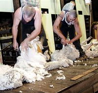 The Woolshed at Jondaryan Caravan and Camping - Accommodation Main Beach