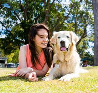 Jacobs Well Tourist Park - Accommodation Main Beach
