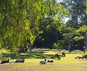 Bellmere On Richards - Accommodation Main Beach 2