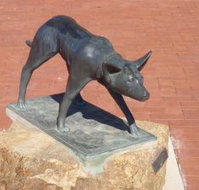 The Ardlethan Kelpie Caravan Park - Accommodation Main Beach