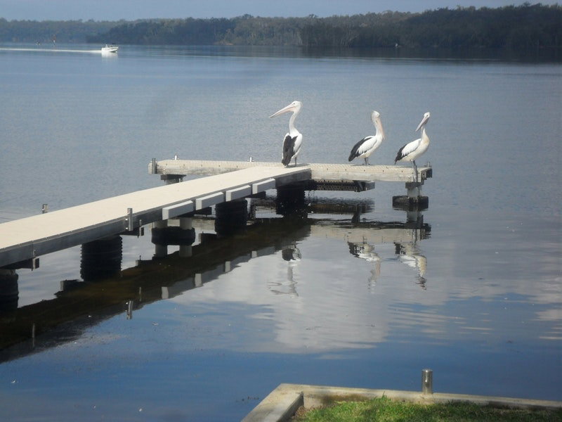 Basin View NSW Accommodation Main Beach