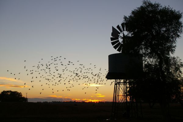 Tooraweenah NSW Accommodation Main Beach