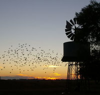 Nevertire Hotel - Accommodation Main Beach