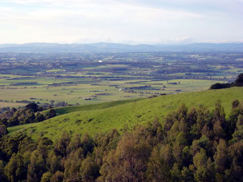 Anderley - Accommodation Main Beach 6
