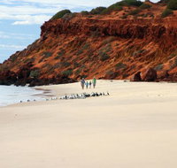 Herald Bight Camp at Francois Peron National Park - Accommodation Main Beach