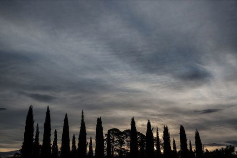 Piermont - Accommodation Main Beach 1