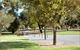 Shamore Apartments - Walnut - thumb 5