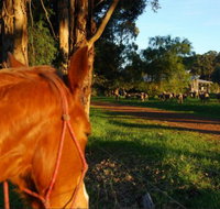 Billa Billa Farm Cottages - Accommodation Main Beach