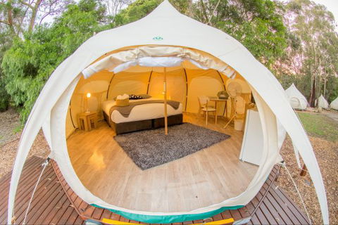 Yarra Valley Park Lane Glamping Belle Tents - Accommodation Main Beach 8