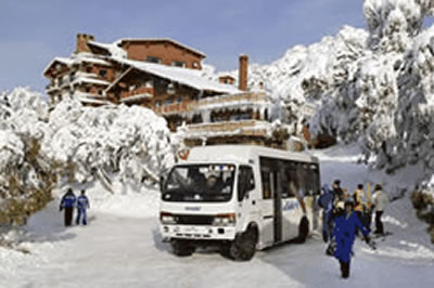 Alpine Holiday Rentals - Accommodation Main Beach 2