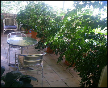 Aba Abode - Accommodation Main Beach 0