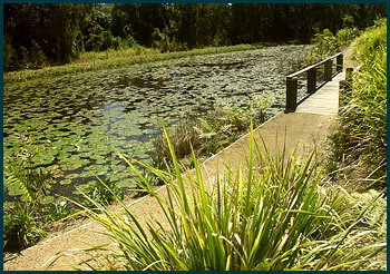 Aba Abode - Accommodation Main Beach 3