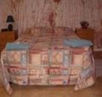 Radeka Downunder Underground Motel And Backpackers Inn - Accommodation Main Beach