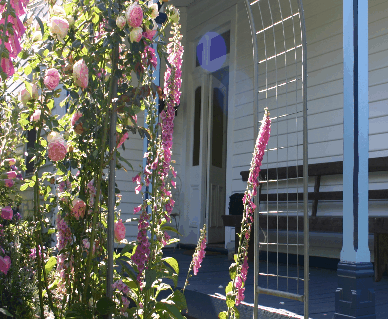 Devonport Bed And Breakfast - Accommodation Main Beach