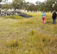 Carnarvon National Park camping - Accommodation Main Beach