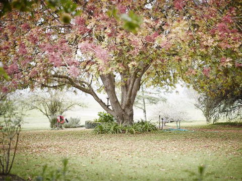 WillOaks B&B - Accommodation Main Beach 8