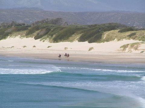 Arties Cottage Accommodation - Accommodation Main Beach 5