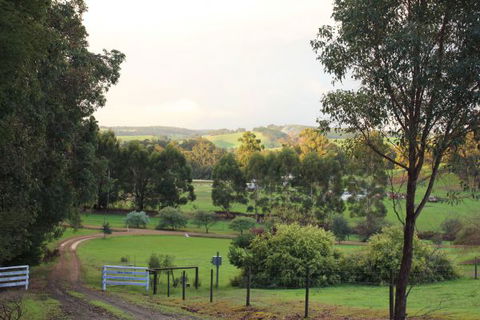 Blue House Bed And Breakfast - Accommodation Main Beach 1