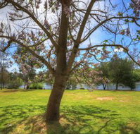 Breakaway Twin Rivers Caravan Park - Accommodation Main Beach