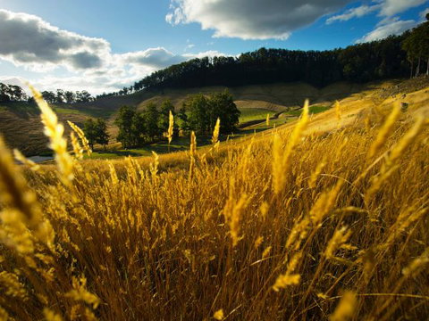 Frenchman's River - The Writer's House - Accommodation Main Beach 9