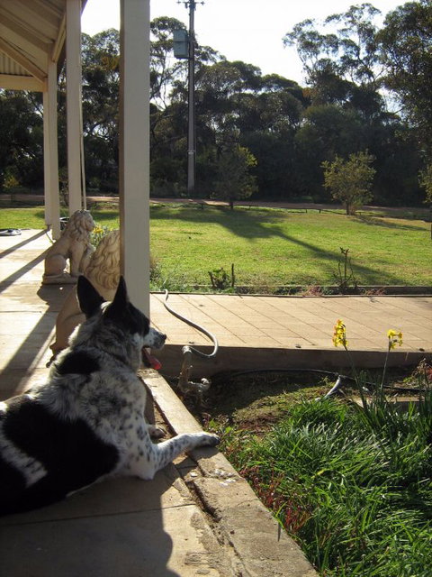 Great Grandpa Henry Retreat - Accommodation Main Beach 4