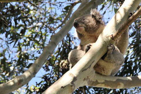 Harmony At Tower Hill - Accommodation Main Beach 7