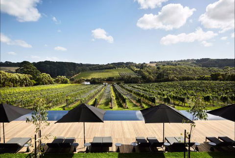 Jackalope Mornington Peninsula - Accommodation Main Beach 4