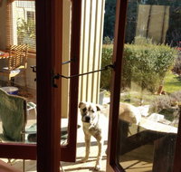 Mara Ponds Branxholm