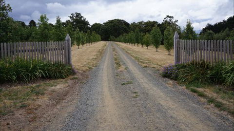 Oakhill Cottage - Accommodation Main Beach 7