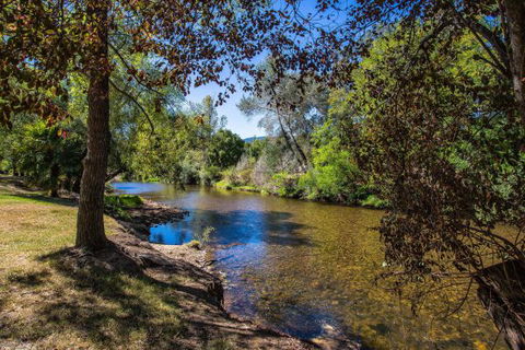 Porepunkah Bridge Holiday Park - Accommodation Main Beach 5