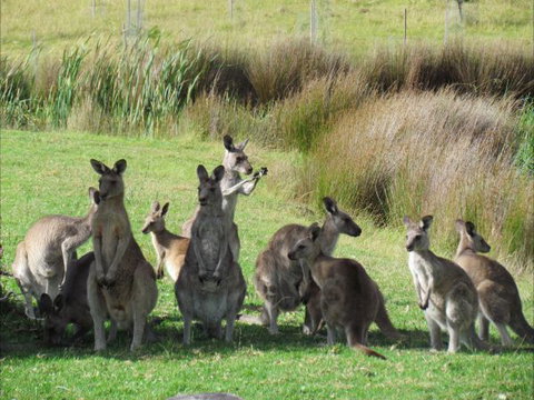 Tanja Lagoon Camp - Accommodation Main Beach 6