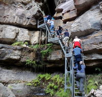 Takarakka Bush Resort Carnarvon Gorge - Accommodation Main Beach
