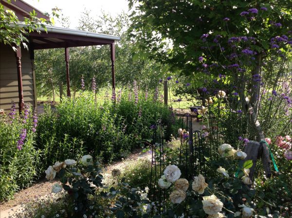 Somerville VIC Accommodation Main Beach