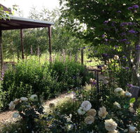 Wandana Bed and Breakfast - Accommodation Main Beach