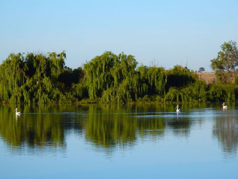 Westbrook Park - Accommodation Main Beach 2