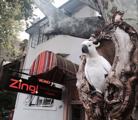 Zing! Backpackers Hostel - Accommodation Main Beach 0