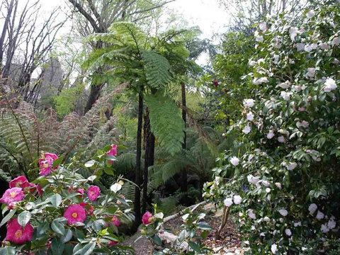 Adelaide Hills B&B Accommodation - Accommodation Main Beach 3