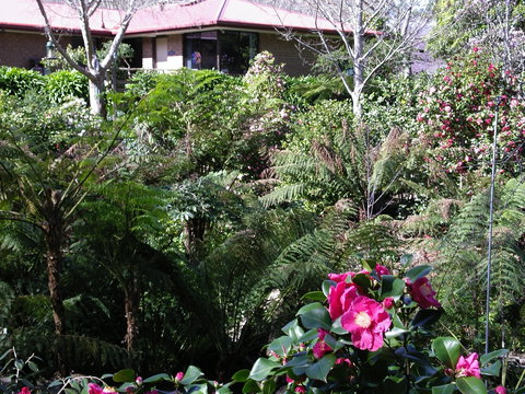 Adelaide Hills B&B Accommodation - Accommodation Main Beach 6