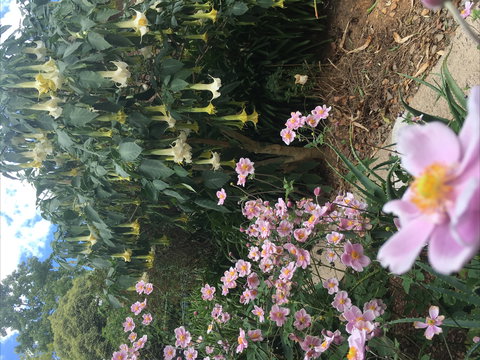 Adelaide Hills B&B Accommodation - Accommodation Main Beach 7