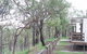 Lake Awoonga Caravan Park - thumb 7