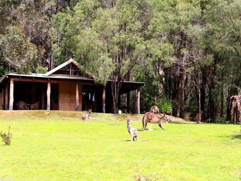 Marima Cottages - Accommodation Main Beach 1