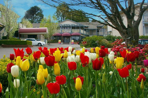 Nesuto Leura Gardens Hotel - Accommodation Main Beach 0