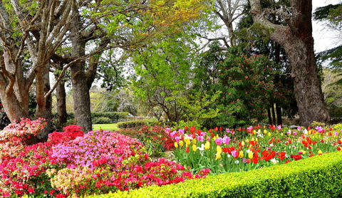 Nesuto Leura Gardens Hotel - Accommodation Main Beach 9