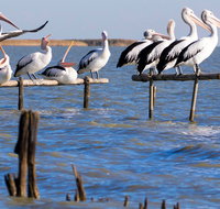 Pelican Perch Retreat - Accommodation Main Beach