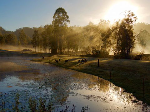 Ramada Resort Kooralbyn Valley - Accommodation Main Beach 6