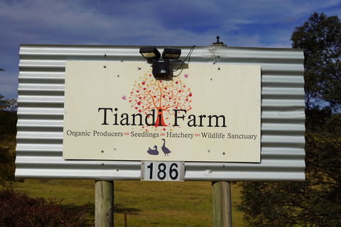 Tiandi Wildlife Sanctuary Farm Stay - Jambalaya Cottage - Accommodation Main Beach 0