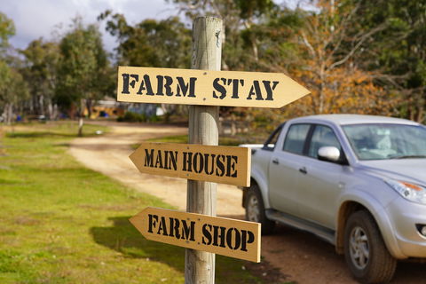 Tiandi Wildlife Sanctuary Farm Stay - Jambalaya Cottage - Accommodation Main Beach 5