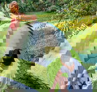 Warrabah campground and picnic area