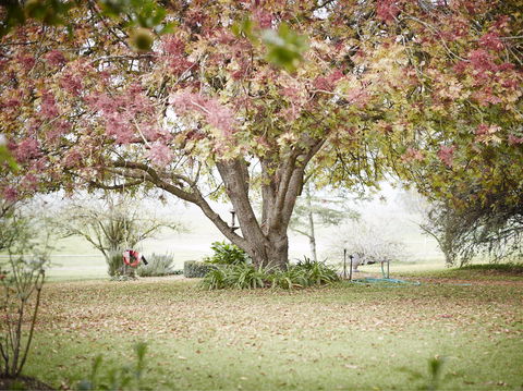 WillOaks B&B - Accommodation Main Beach 8